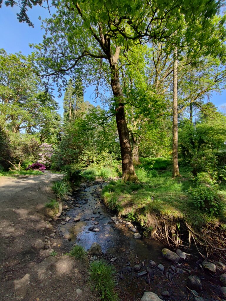 Wales Tag 7 – Clyne Gardens