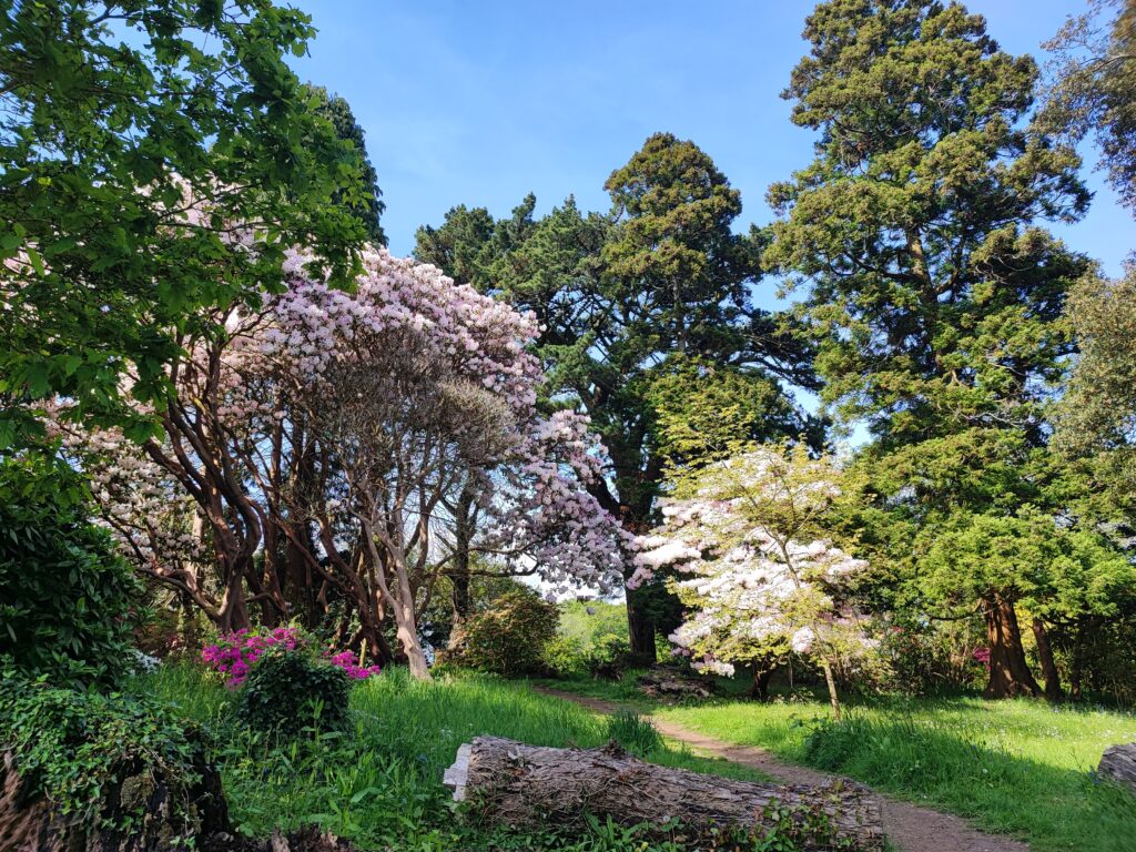 Wales Tag 7 – Clyne Gardens