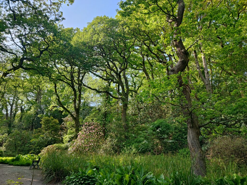 Wales Tag 7 – Clyne Gardens