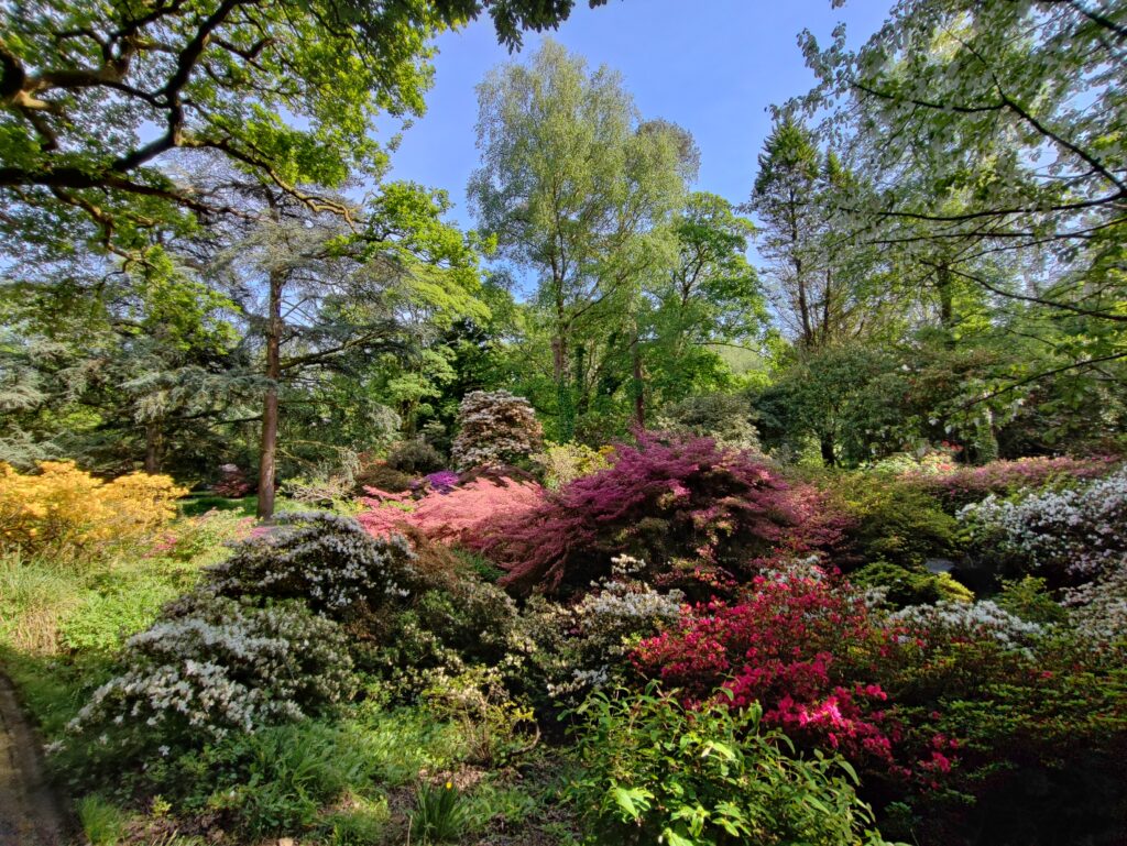 Wales Tag 7 – Clyne Gardens