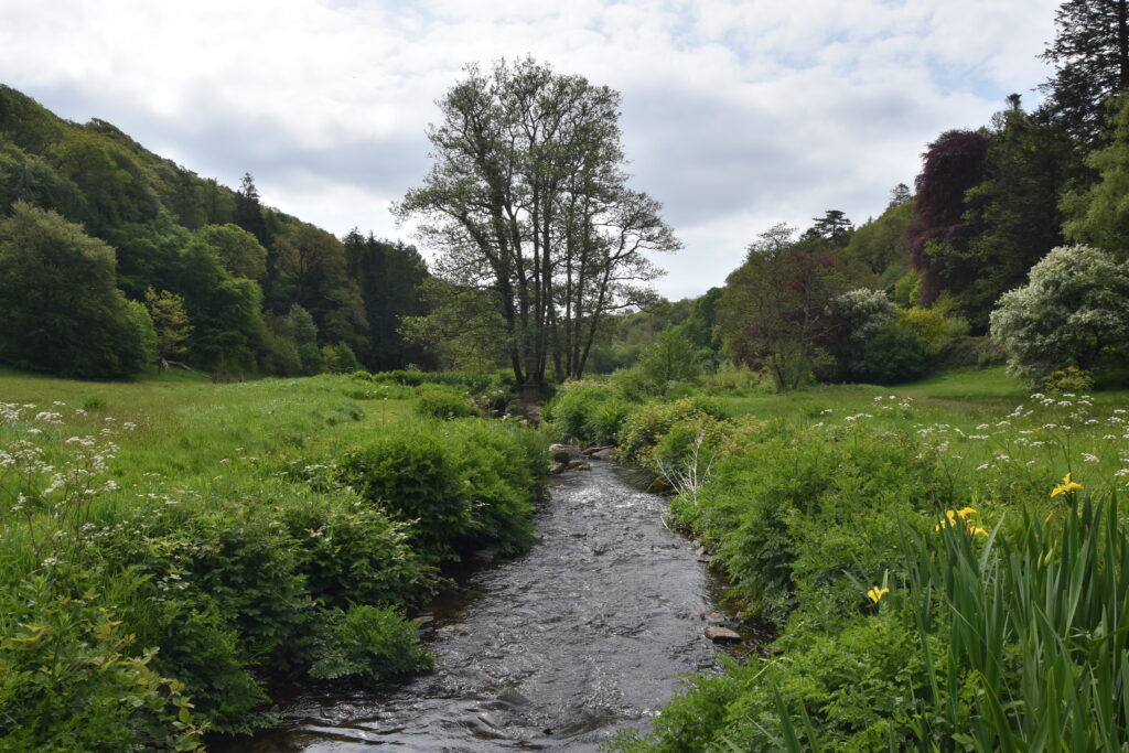 Wales Tag 9 – Colby Woodland Gardens