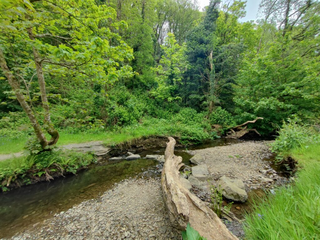 Wales Tag 9 – Colby Woodland Gardens