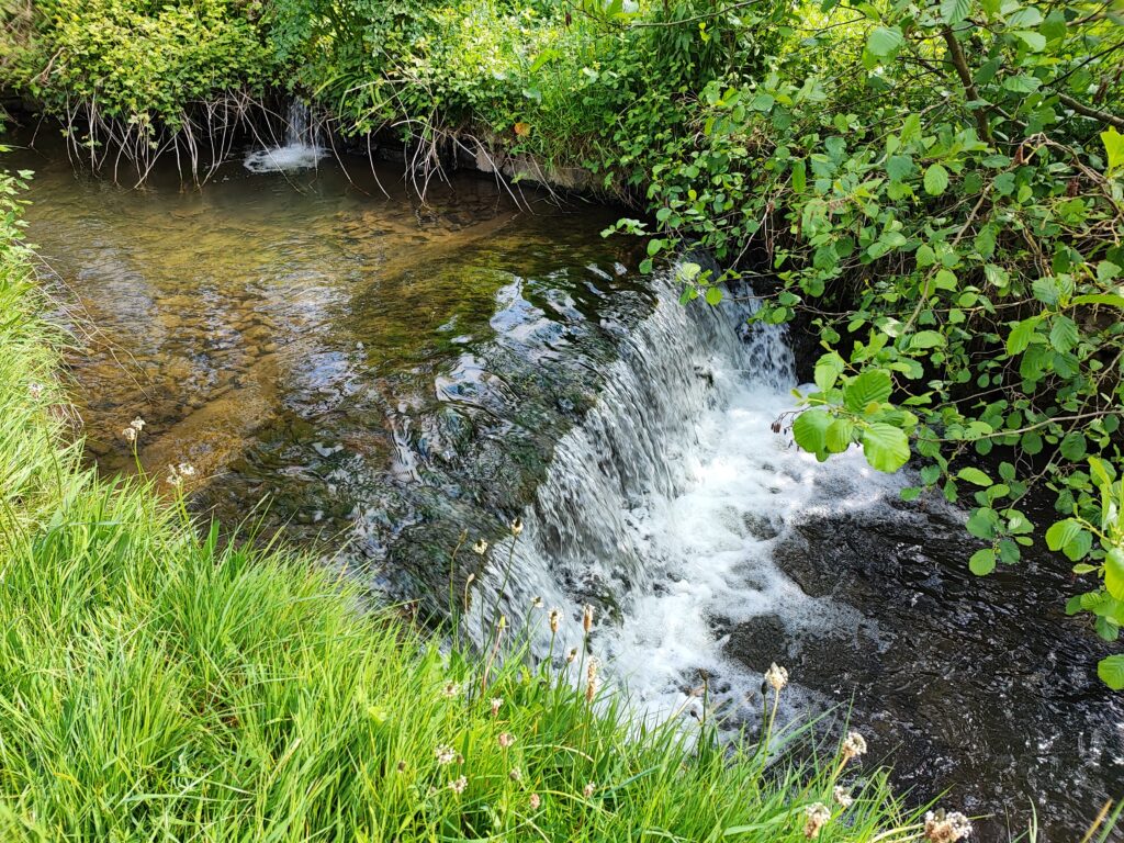 Wales Tag 9 – Colby Woodland Gardens