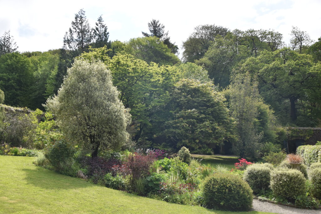 Wales Tag 9 – Colby Woodland Gardens