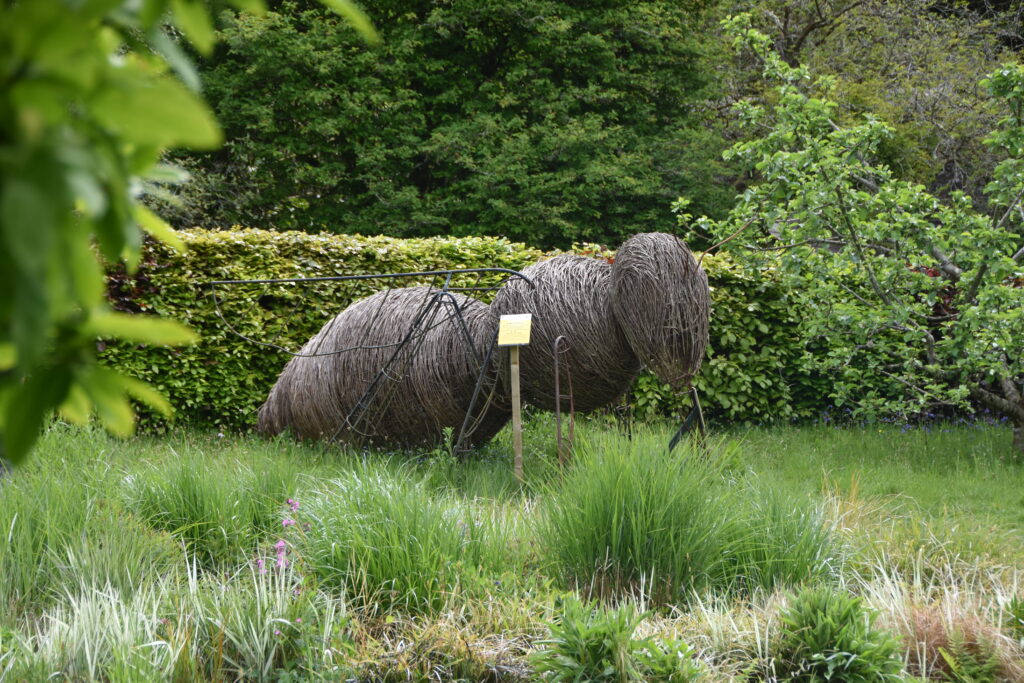 Wales Tag 9 – Colby Woodland Gardens