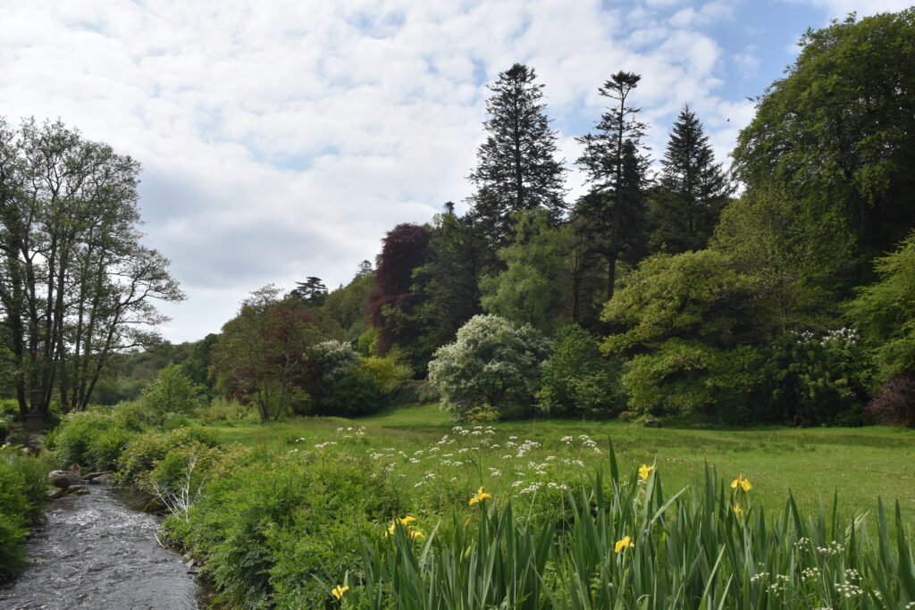 Wales Tag 9 – Colby Woodland Gardens
