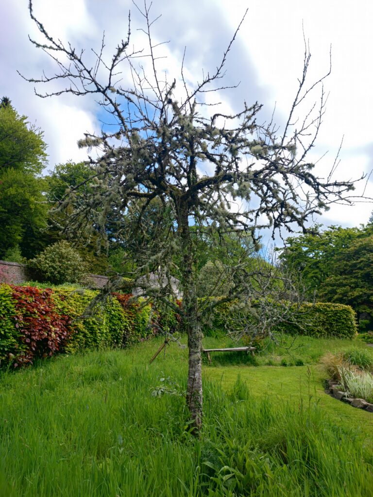 Wales Tag 9 – Colby Woodland Gardens