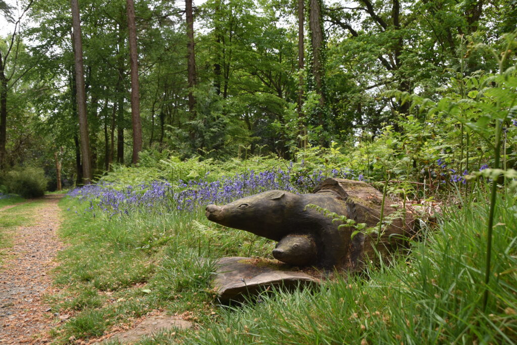 Wales Tag 9 – Colby Woodland Gardens