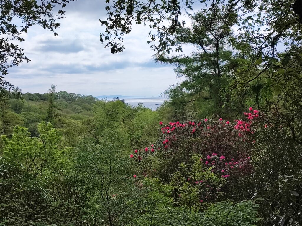 Wales Tag 9 – Colby Woodland Gardens