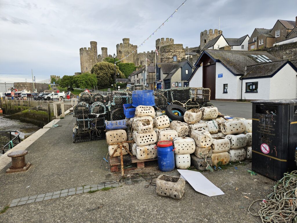 Wales Tag 20 – Conwy