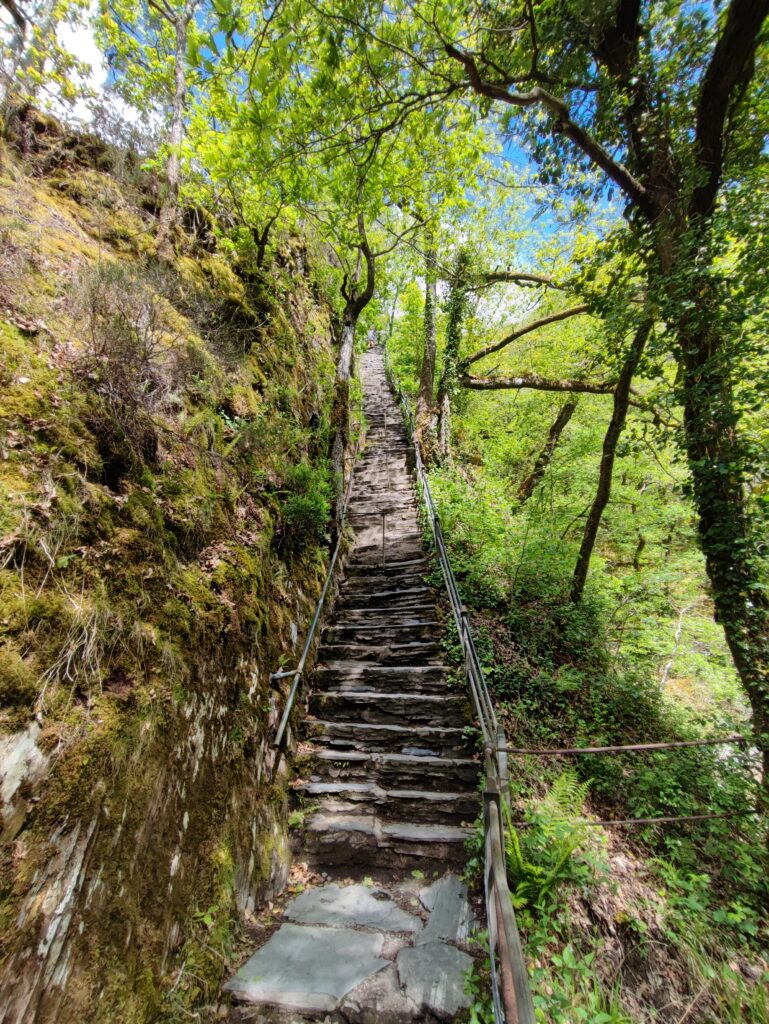 Wales Tag 14 – Devil's Bridge Waterfalls, Pontarfynach