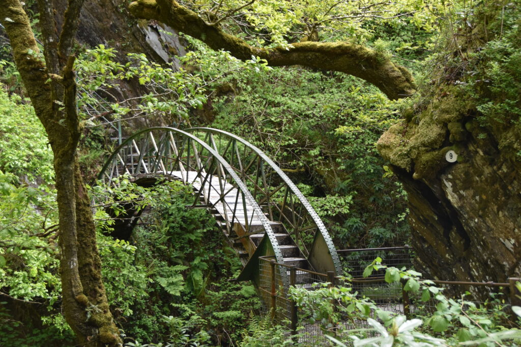 Wales Tag 14 – Devil's Bridge Waterfalls, Pontarfynach
