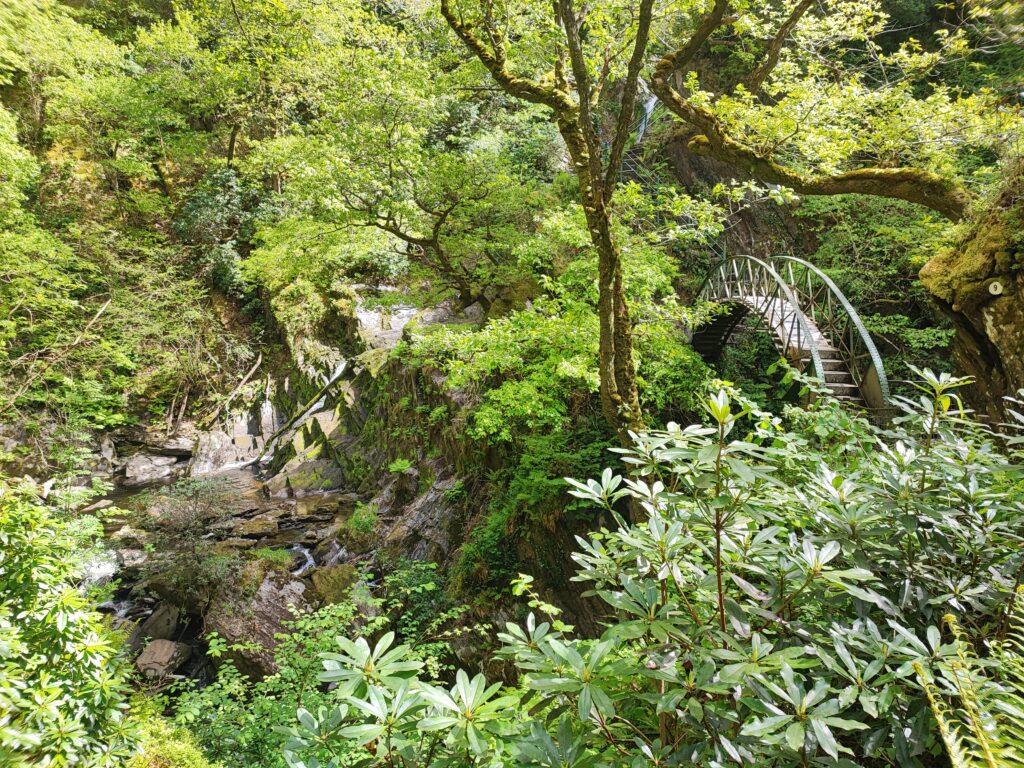 Wales Tag 14 – Devil's Bridge Waterfalls, Pontarfynach