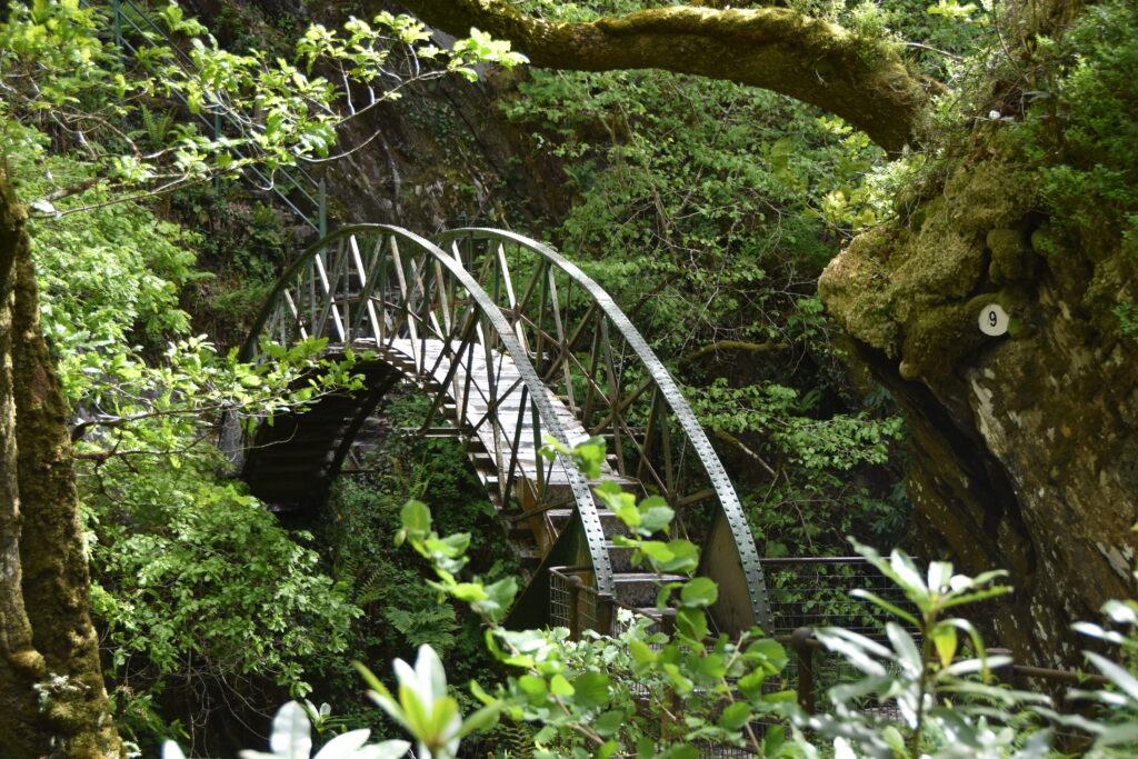 Wales Tag 14 – Devil's Bridge Waterfalls, Pontarfynach