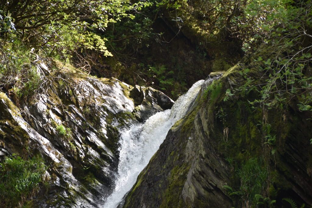 Wales Tag 14 – Devil's Bridge Waterfalls, Pontarfynach
