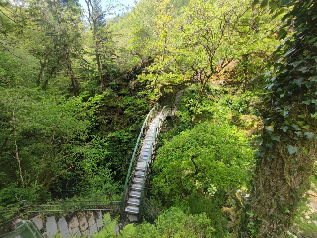 Wales Tag 14 – Devil's Bridge Waterfalls, Pontarfynach