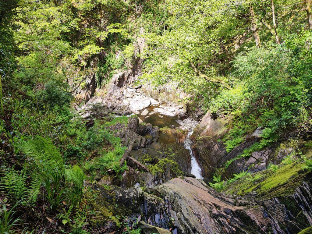 Wales Tag 14 – Devil's Bridge Waterfalls, Pontarfynach