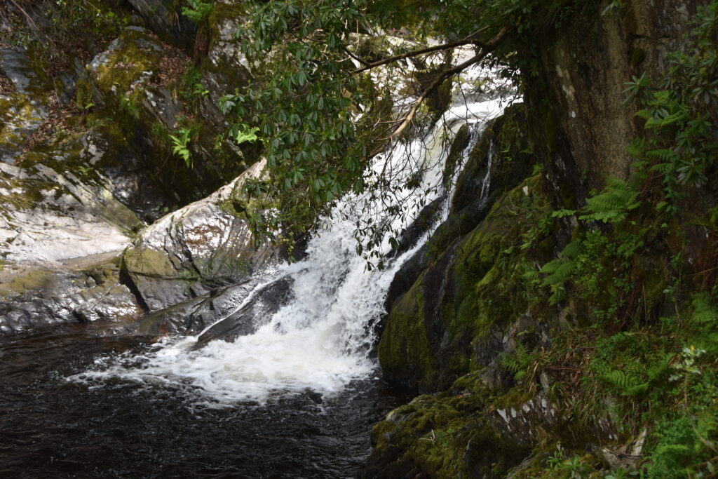 Wales Tag 14 – Devil's Bridge Waterfalls, Pontarfynach