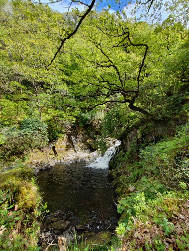 Wales Tag 14 – Devil's Bridge Waterfalls, Pontarfynach