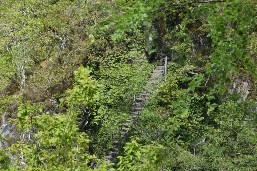 Wales Tag 14 – Devil's Bridge Waterfalls, Pontarfynach