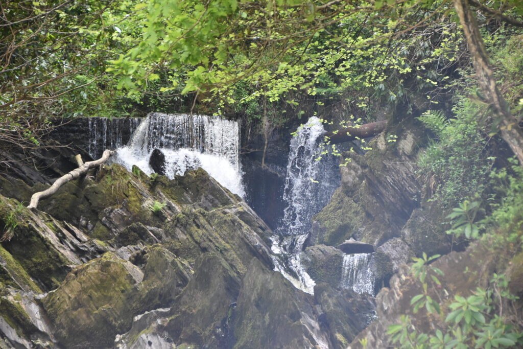 Wales Tag 14 – Devil's Bridge Waterfalls, Pontarfynach