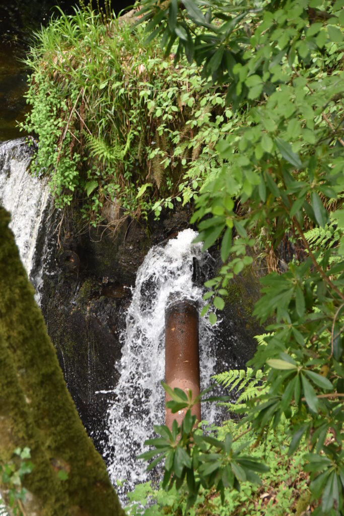 Wales Tag 14 – Devil's Bridge Waterfalls, Pontarfynach