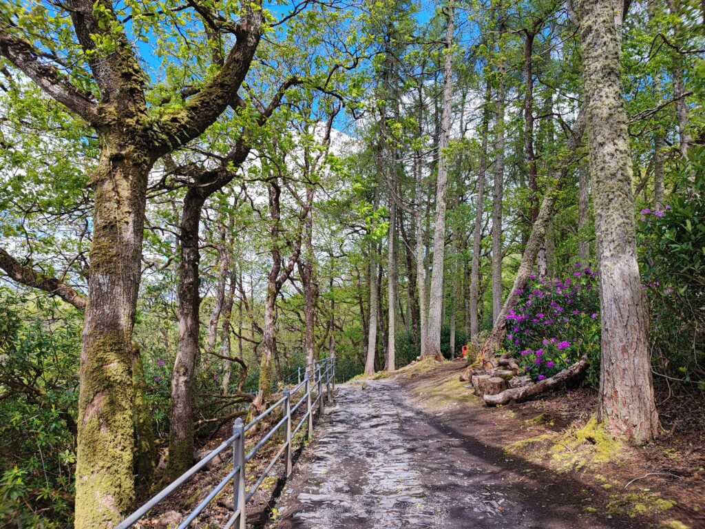 Wales Tag 14 – Devil's Bridge Waterfalls, Pontarfynach
