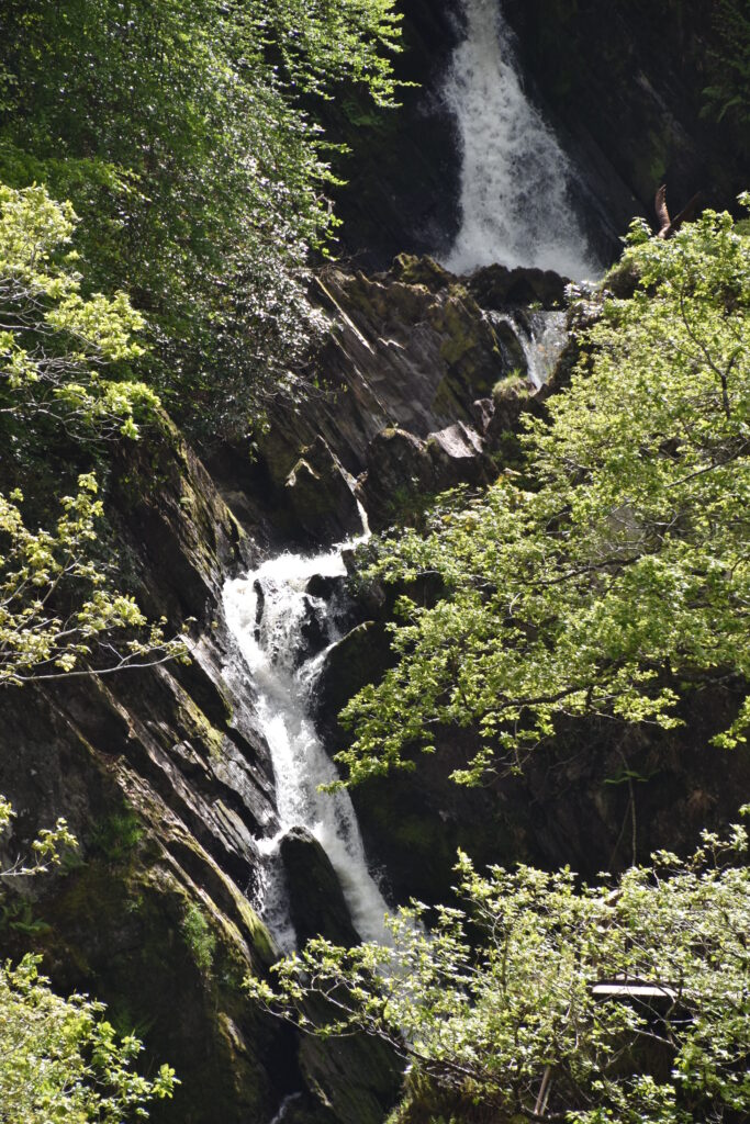 Wales Tag 14 – Devil's Bridge Waterfalls, Pontarfynach