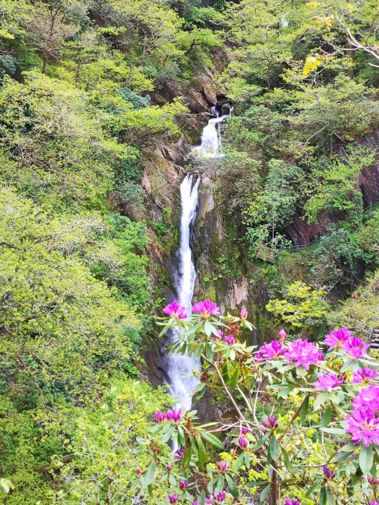 Wales Tag 14 – Devil's Bridge Waterfalls, Pontarfynach