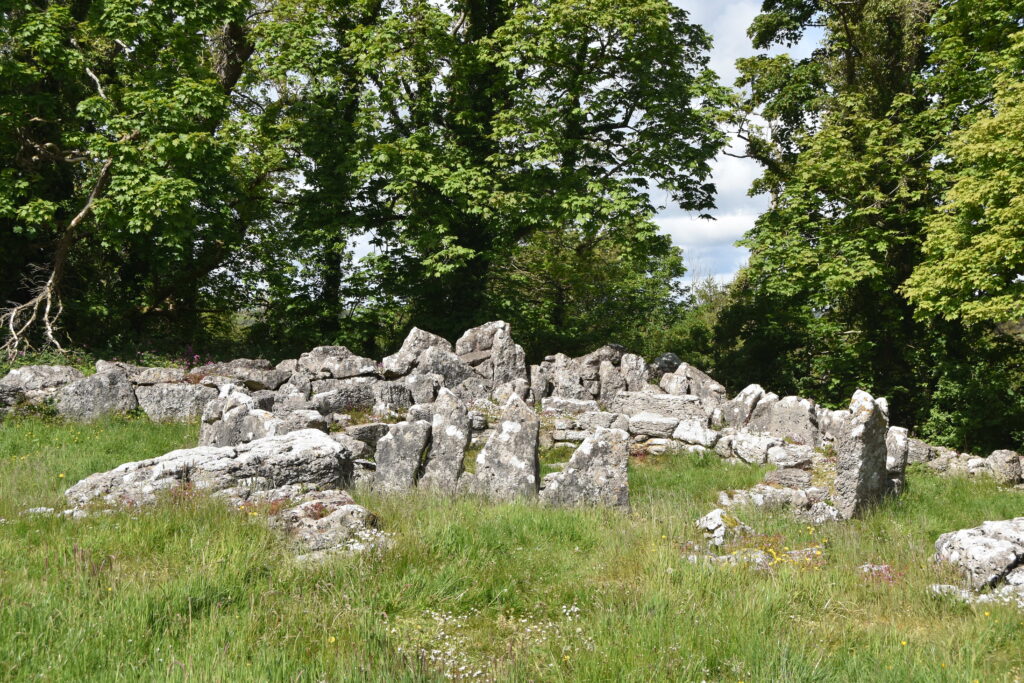 Wales Tag 17 – Anglesey – Llugwy