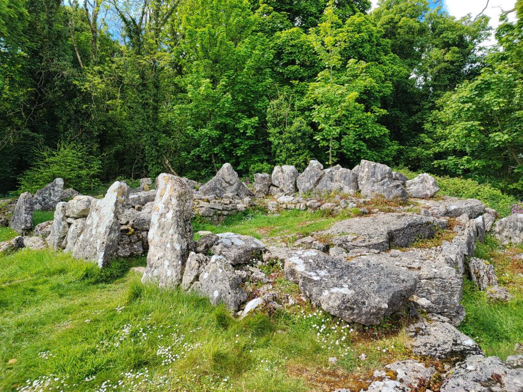 Wales Tag 17 – Anglesey – Llugwy