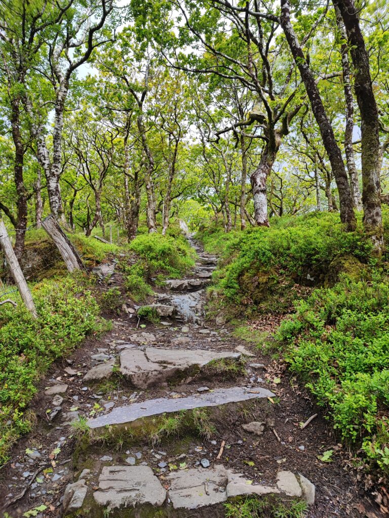 Wales Tag 19 – Dinorwig Slate Quarry