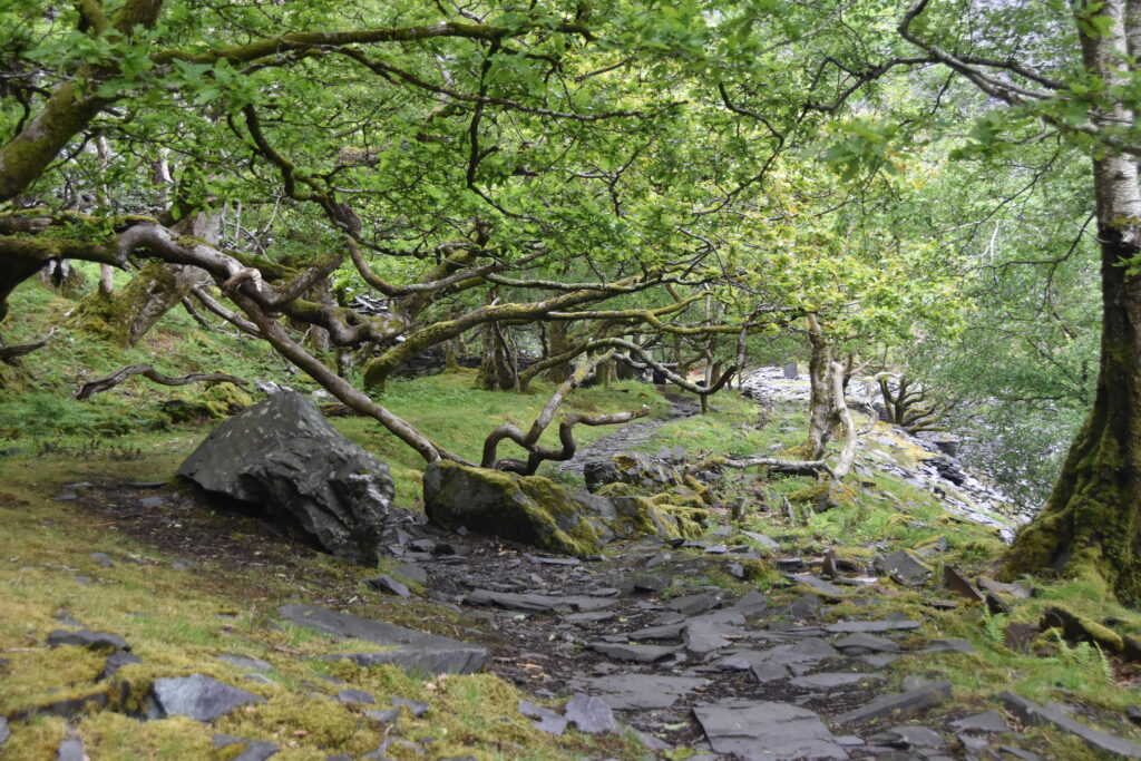 Wales Tag 19 – Dinorwig Slate Quarry