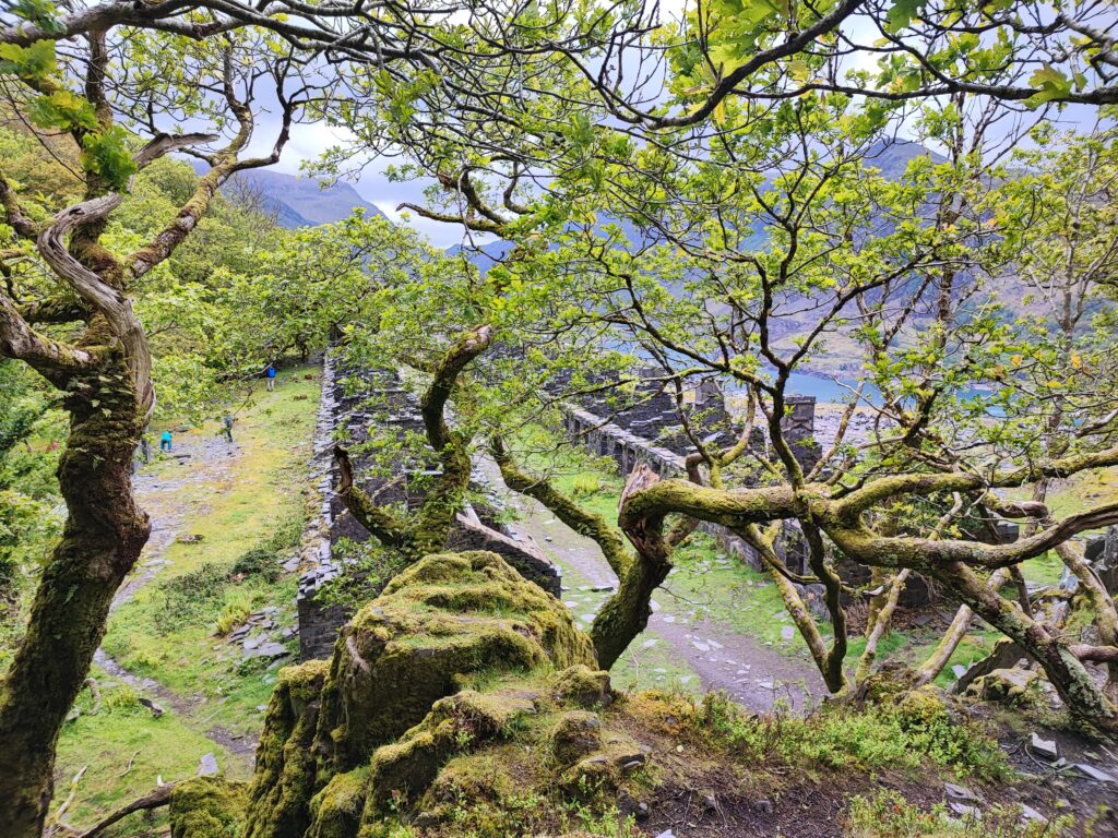 Wales Tag 19 – Dinorwig Slate Quarry