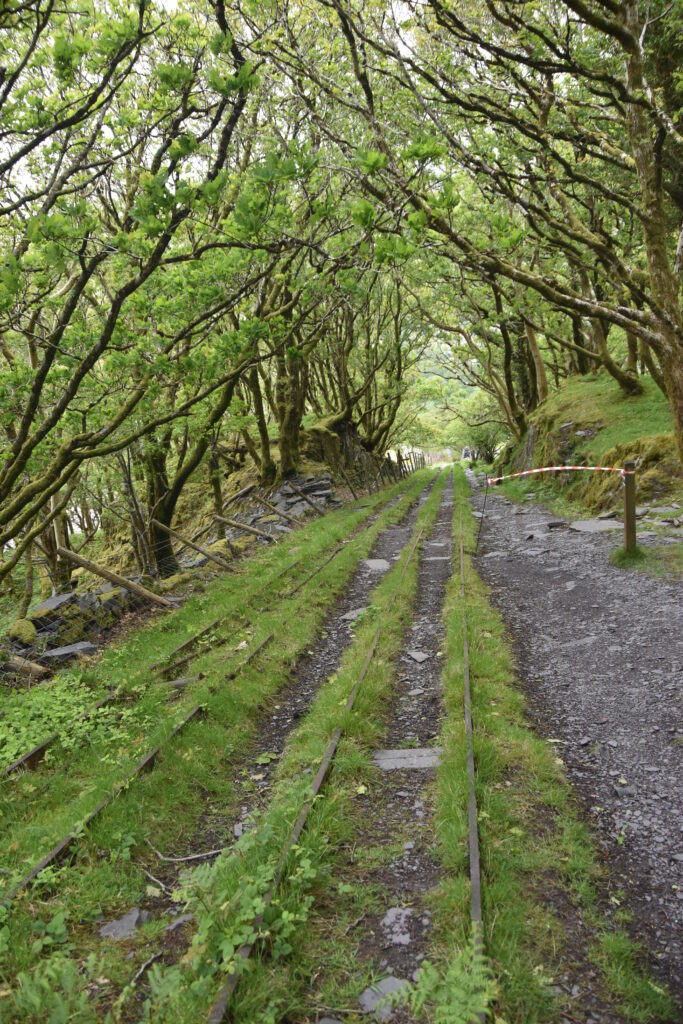 Wales Tag 19 – Dinorwig Slate Quarry