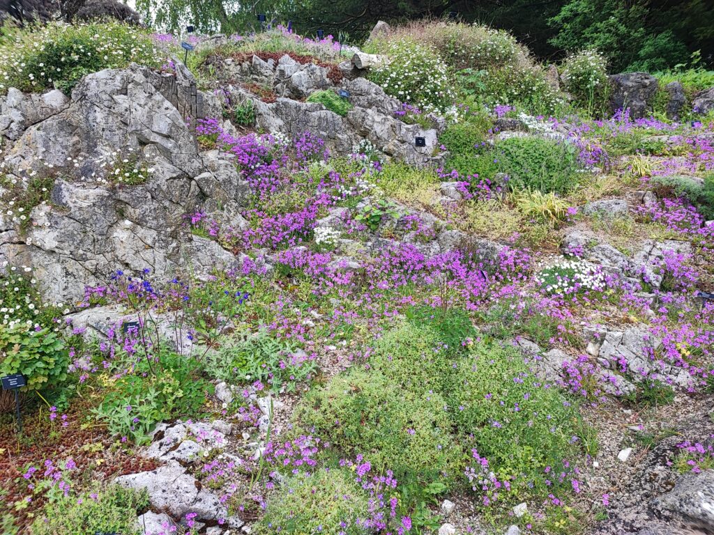 Wales Tag 6 – Dyffryn Gardens