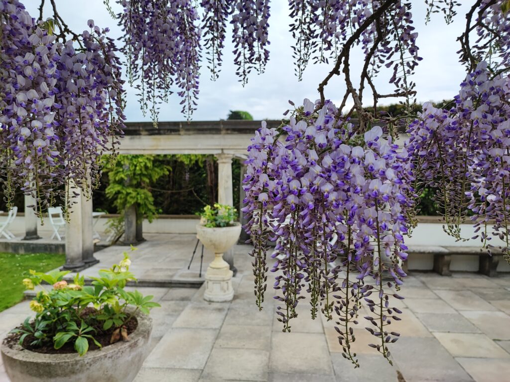 Wales Tag 6 – Dyffryn Gardens