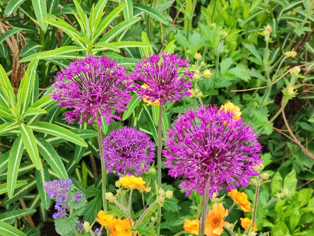 Wales Tag 6 – Dyffryn Gardens