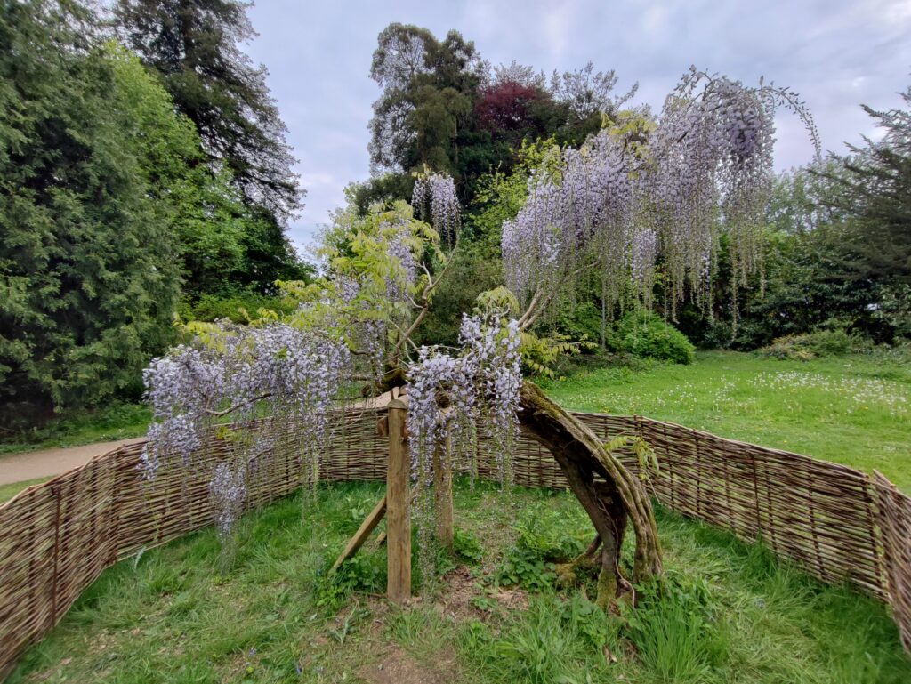 Wales Tag 6 – Dyffryn Gardens
