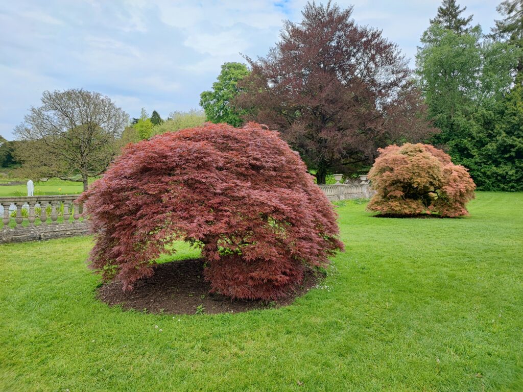 Wales Tag 6 – Dyffryn Gardens