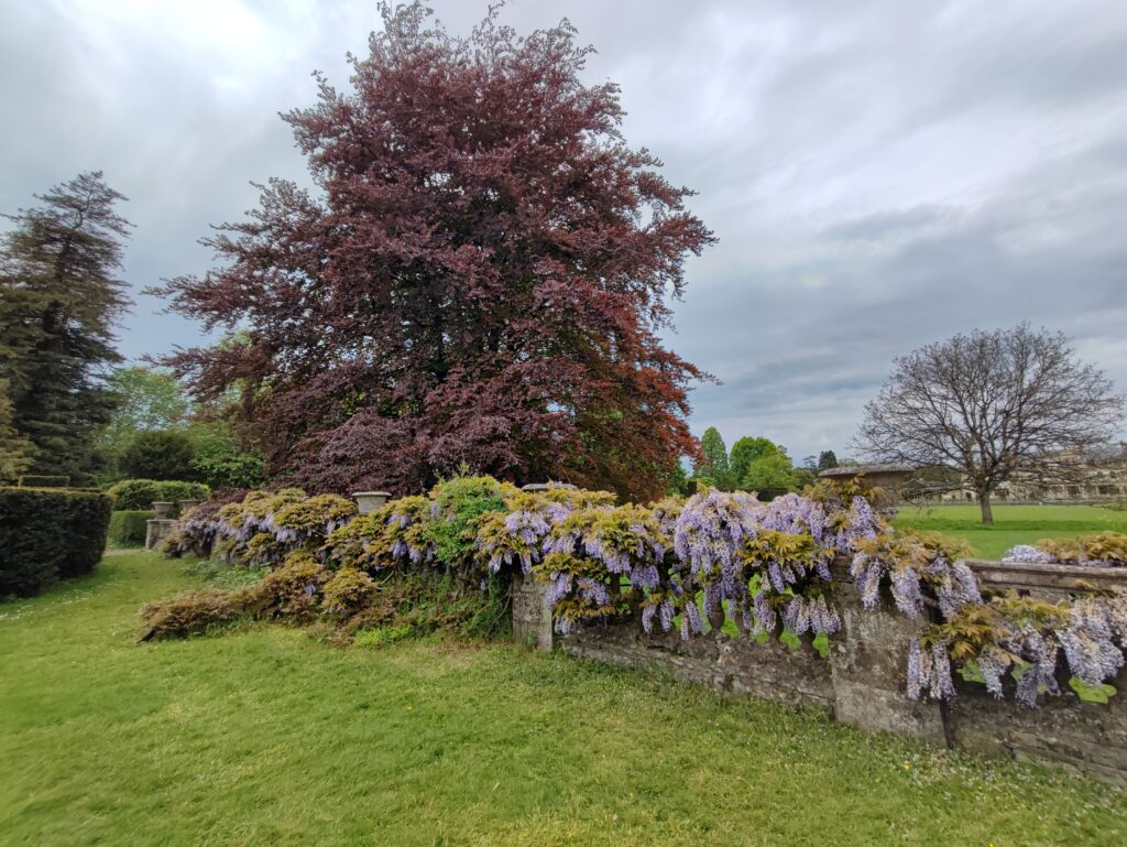 Wales Tag 6 – Dyffryn Gardens