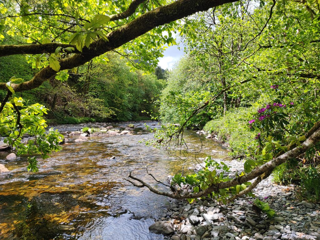 Wales Tag 14 – Hafod Estate