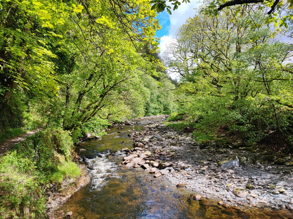 Wales Tag 14 – Hafod Estate