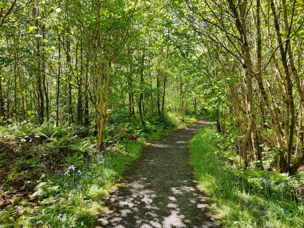 Wales Tag 14 – Hafod Estate