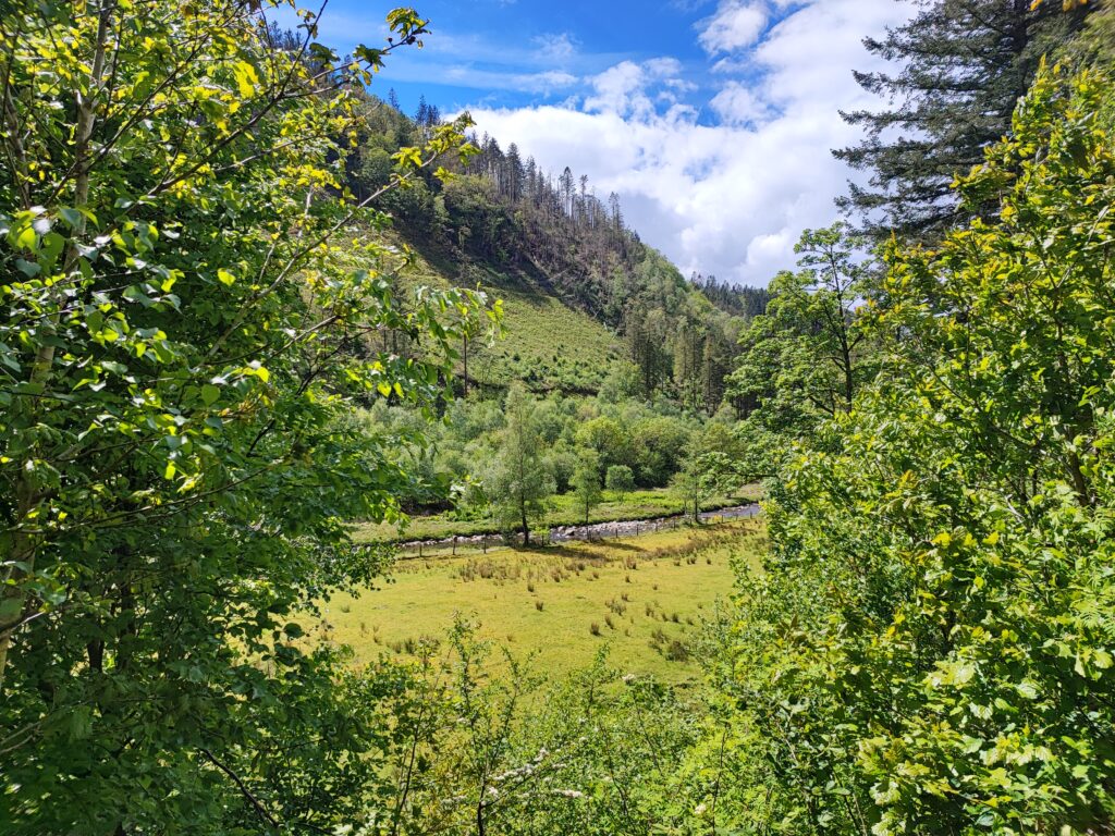 Wales Tag 14 – Hafod Estate