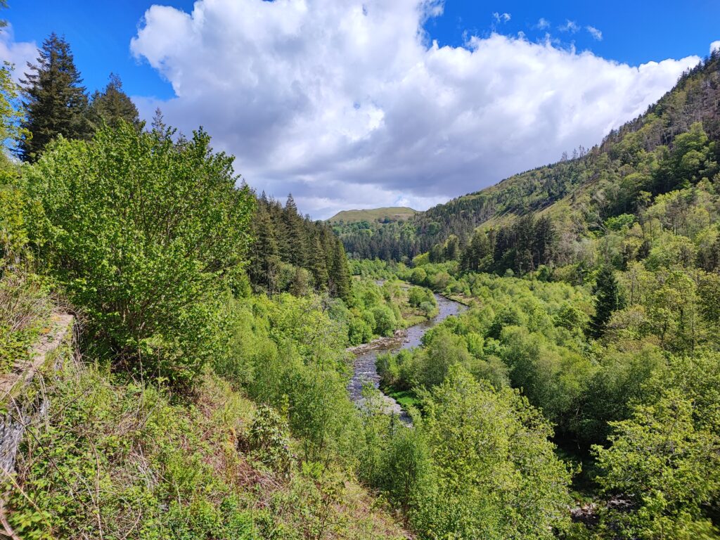 Wales Tag 14 – Hafod Estate
