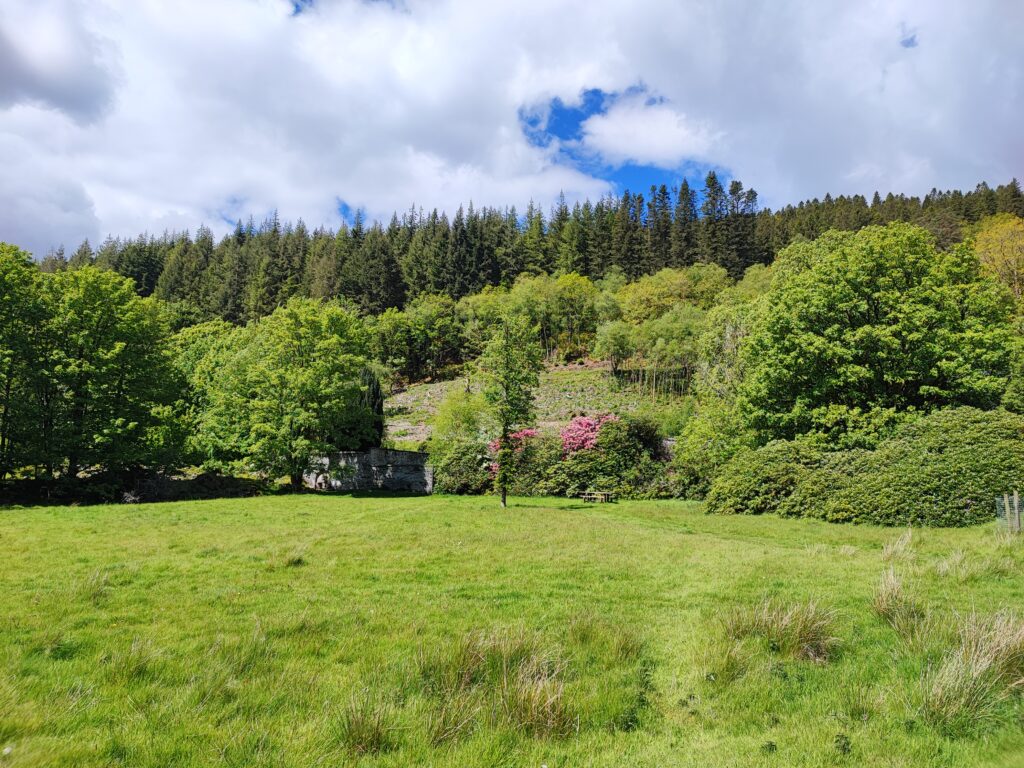 Wales Tag 14 – Hafod Estate