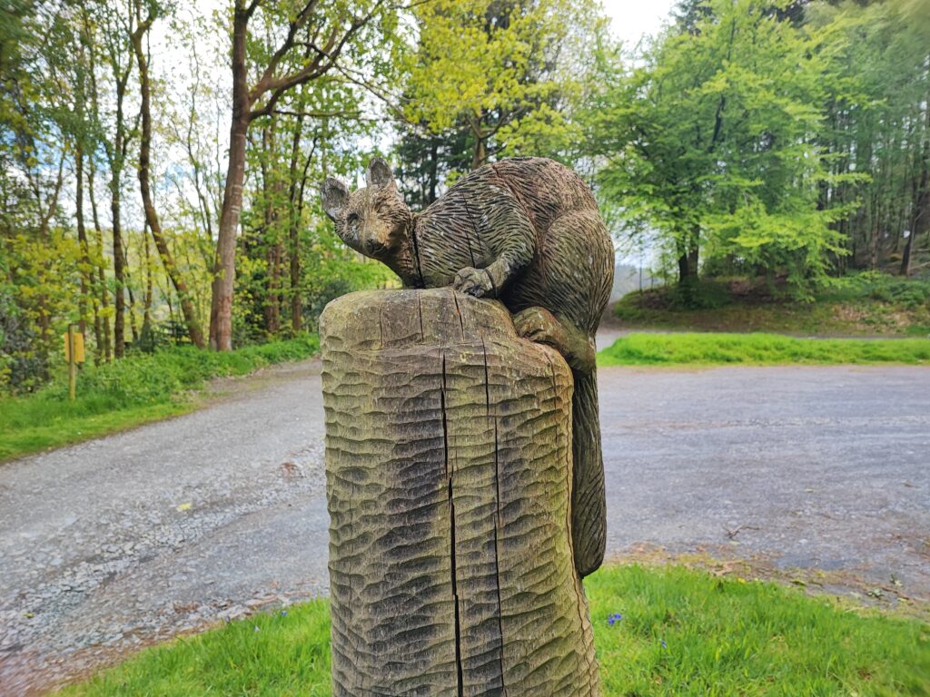Wales Tag 14 – Hafod Estate