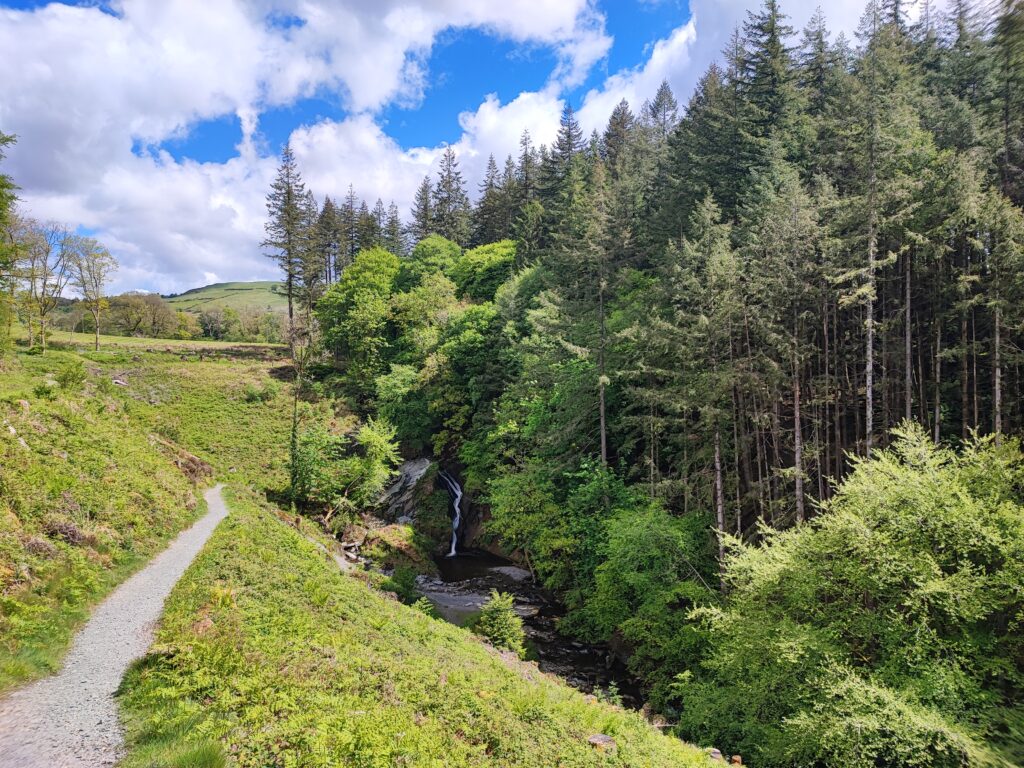 Wales Tag 14 – Hafod Estate