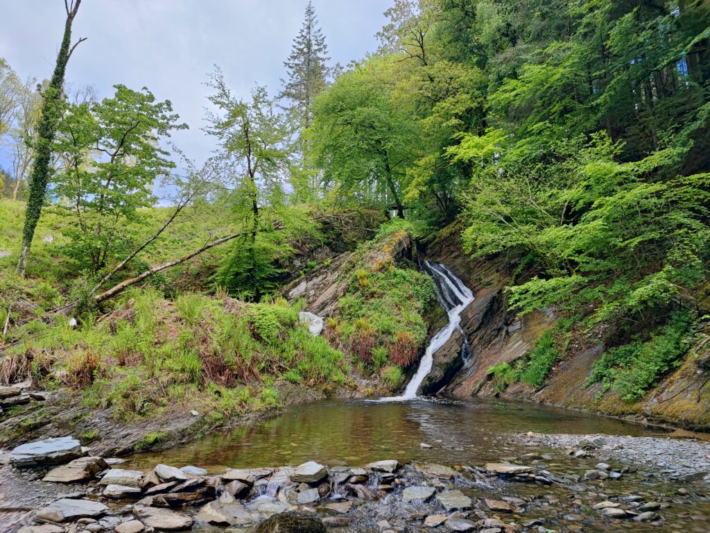 Wales Tag 14 – Hafod Estate